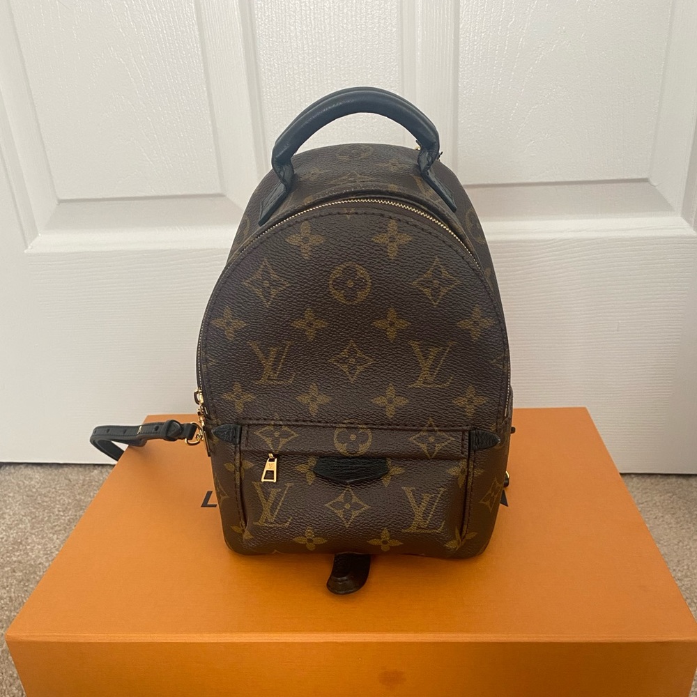 Louis Vuitton Palm Springs Mini *Updated Zipper*